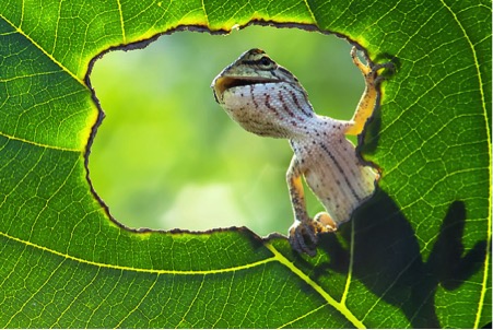 Windows of Life Windows of Life